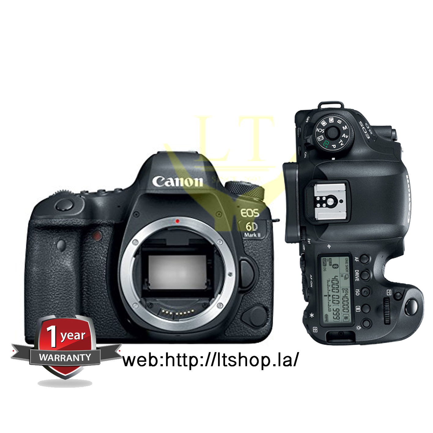 Canon EOS 6D Mark II body